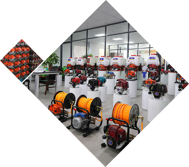 香港宝典资料大全免费